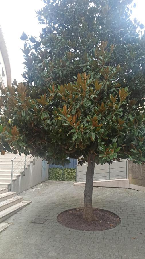 马泰拉Rosselli93公寓 外观 照片